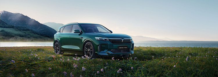 ТО на VOYAH за 25 900 рублей